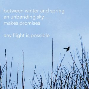 any flight is possible
