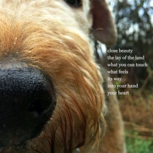 close beauty