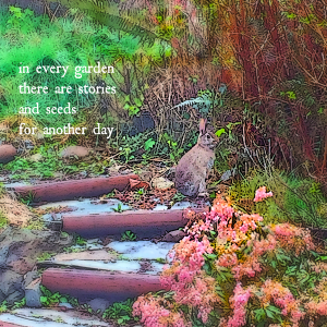 in very garden