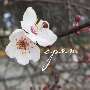 open